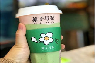 加盟葉子與茶需多少費用？冰淇淋加盟機遇解析